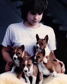 Facts about the basenji
